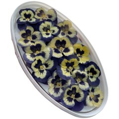 Виола обезвоженная "Северная бабочка" Объёмная 15 шт 